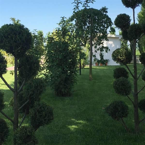 Hotel Bussana Порто-Толле Екстер'єр фото